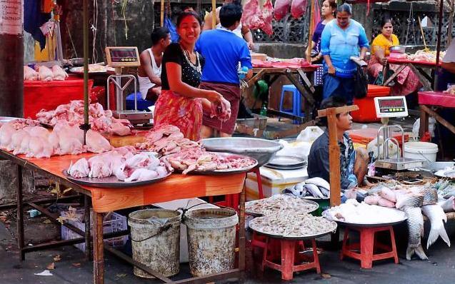 游客来到了缅甸菜市场,都是肉类但没有家禽,这是什么原因