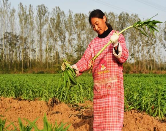 农村最稀缺的创业行业,未来5年农村创业风口