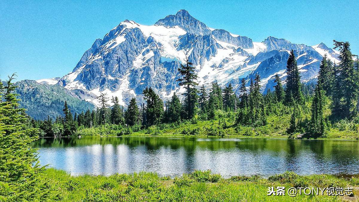 佳能尼康!新手选单反相机,推荐这几款机型,你get到了吗