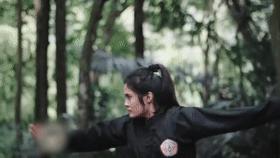 武术技法的整体原理,武术功力分为明劲暗劲化劲