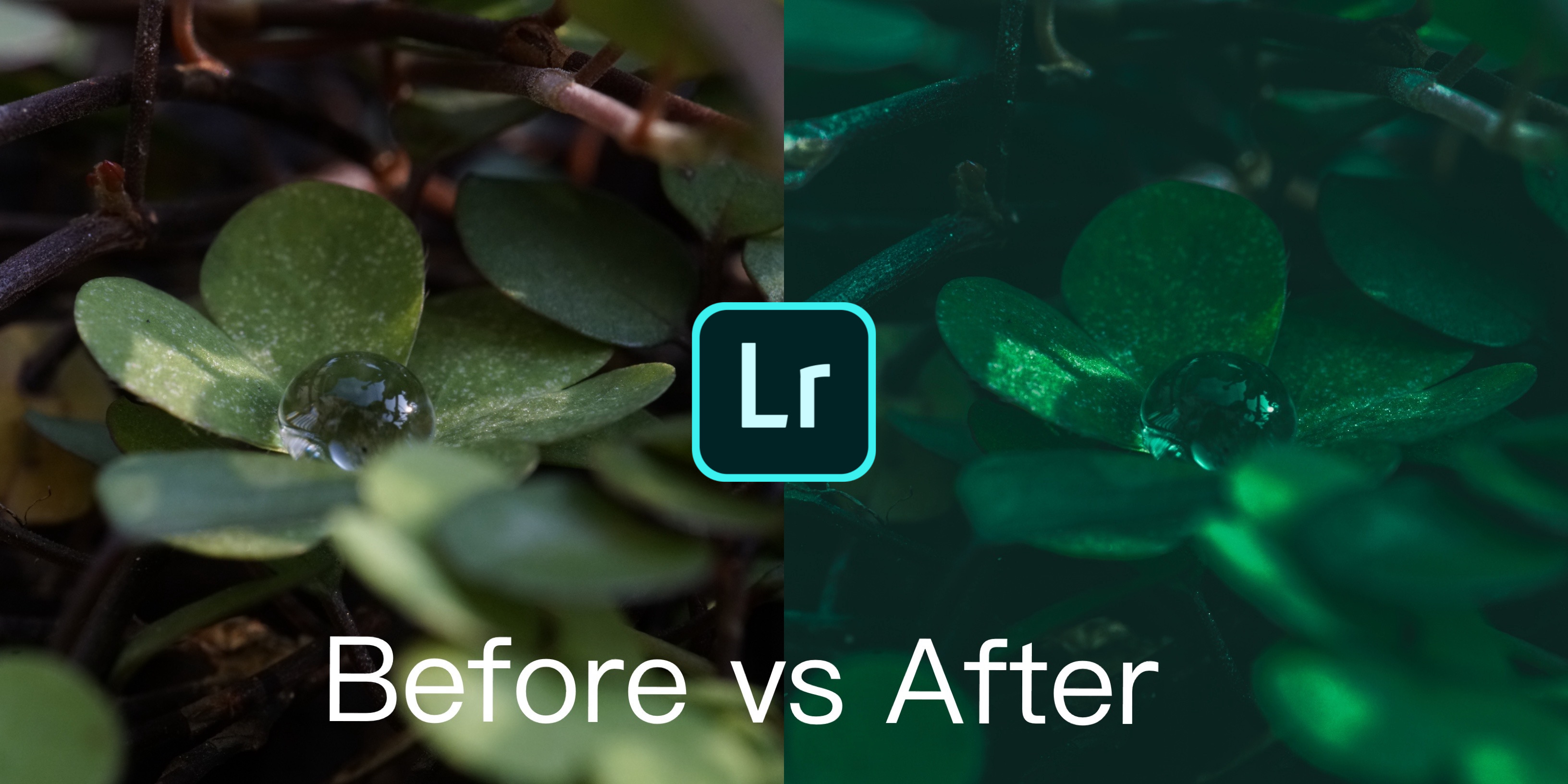 p图好用的手机app,苹果手机常用的app推荐