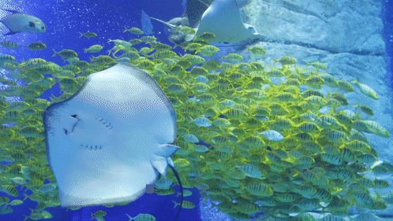 开启非凡住宿万豪旅享家,万豪旅享家万物皆可串