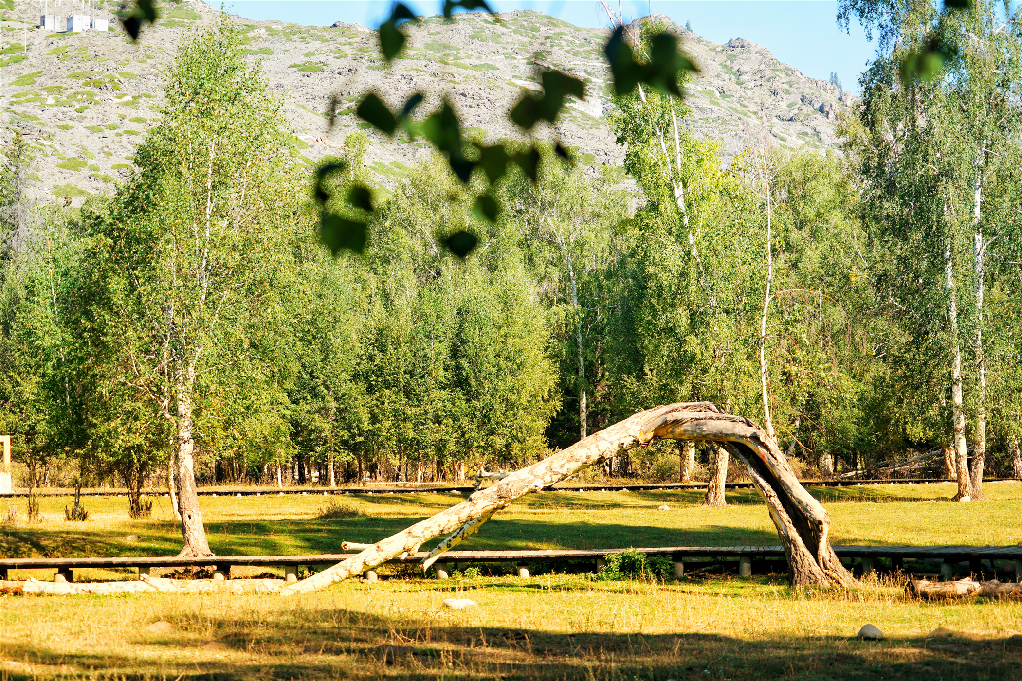 7月新疆可可托海,冬天去可可托海有什么值得看