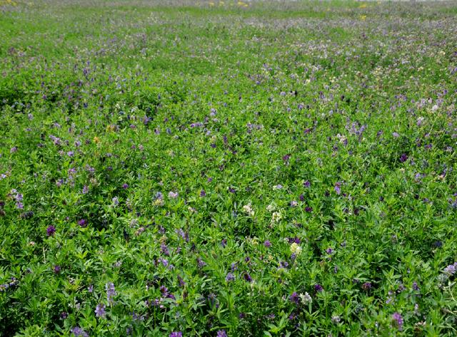 奶粉冲调方法及操作流程,奶粉生产的具体操作步骤