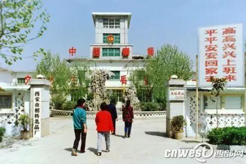 有种牛奶，叫银桥。有种童年，叫喝银桥长大。