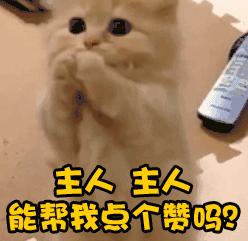 九牛引进8名新援,四川九牛内外援最新足球消息