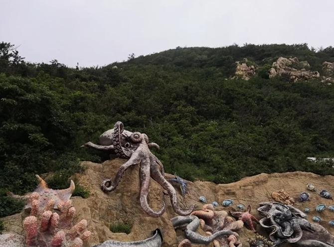 大连滨海路几月最美,大连最美季节