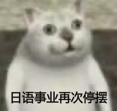 塑料日语句子,塑料日语谐音