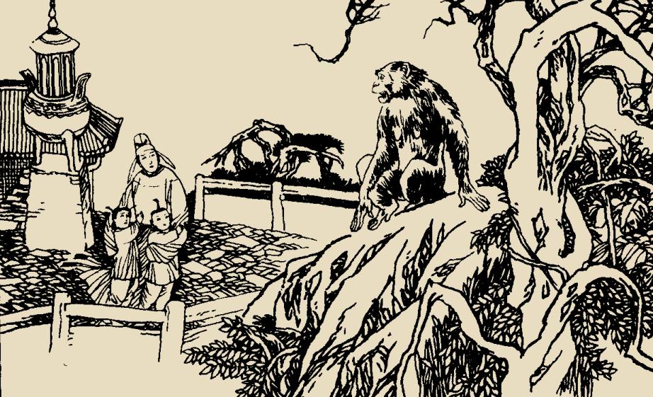 太平广记故事-孙恪和猴女