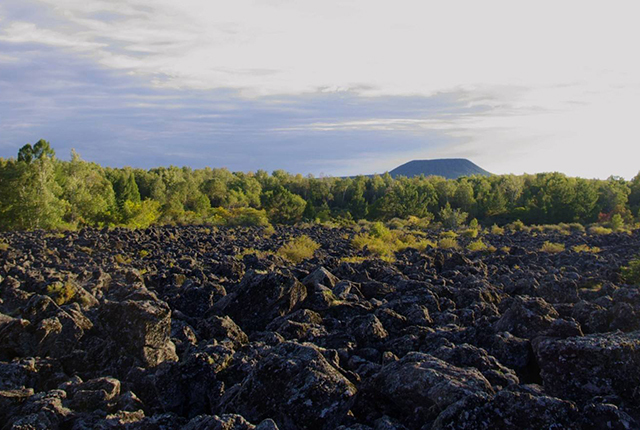 近年东北黑土地恢复现状如何,东北黑土地问题改善