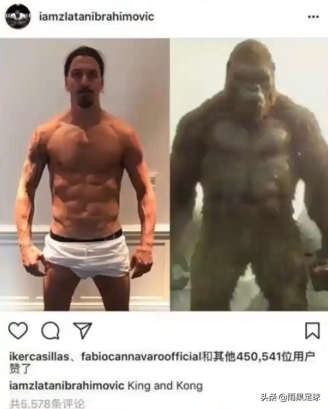 足球传奇上帝之手伊布,足球运动员伊布拉希莫维奇介绍