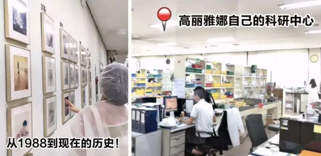 关晓彤有没有黑眼圈,关晓彤黑眼圈困扰