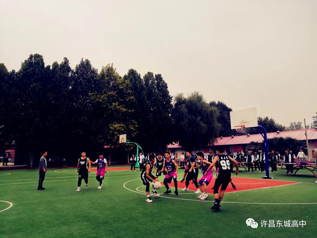 青春梦飞扬篮球比赛视频,正青春梦飞扬大泽山