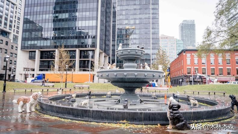 加拿大多伦多生活日记,加拿大多伦多留学生活纪实