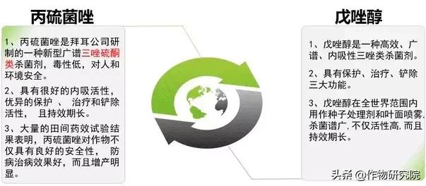 赤霉病白粉病锈病哪个减产厉害,赤霉病和小麦白粉病