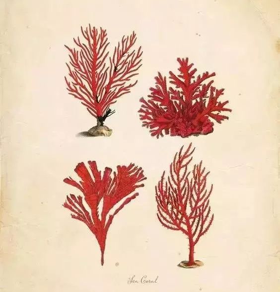 宋美龄最喜欢的翡翠手镯,宋美龄玉石珠宝