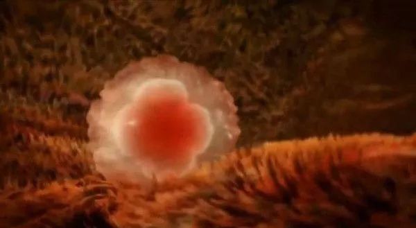 子宫内膜，薄了厚了宝宝都不喜欢#清风计划##健康早班车#