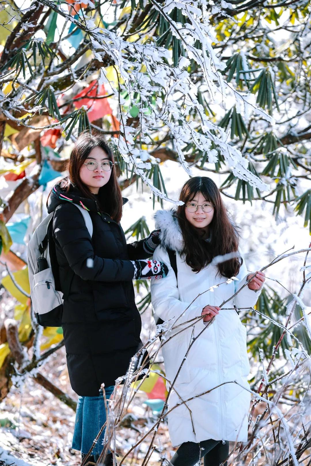 成都天台山景区自驾游攻略,成都天台山玩雪