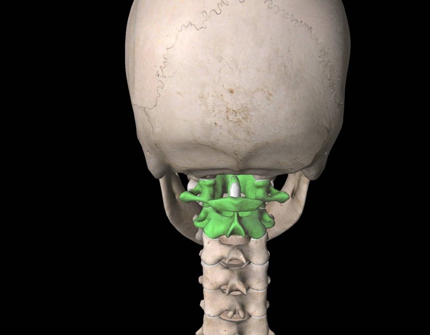 经常低头看手机的颈椎怎么矫正,抬头看手机对颈椎有好处吗