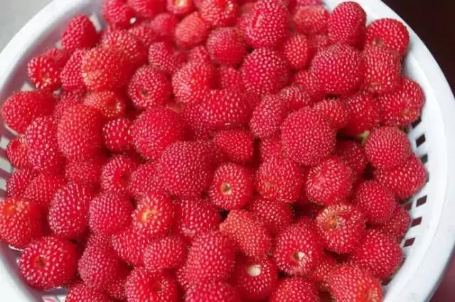 这些年，在哈尔滨永远消失的65样东西…你还记得几样？