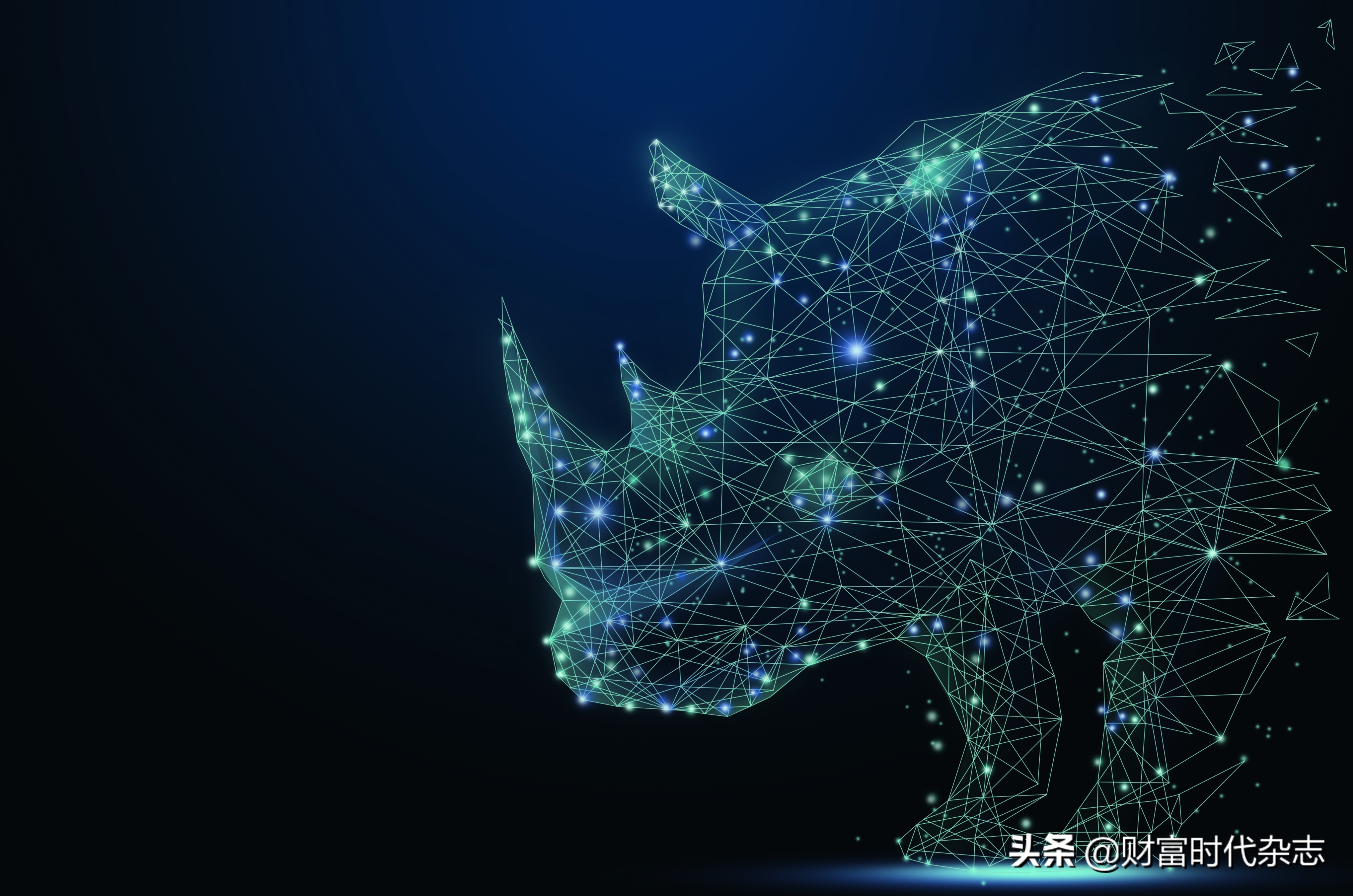 职业操盘花荣,职业股民的几个阶段