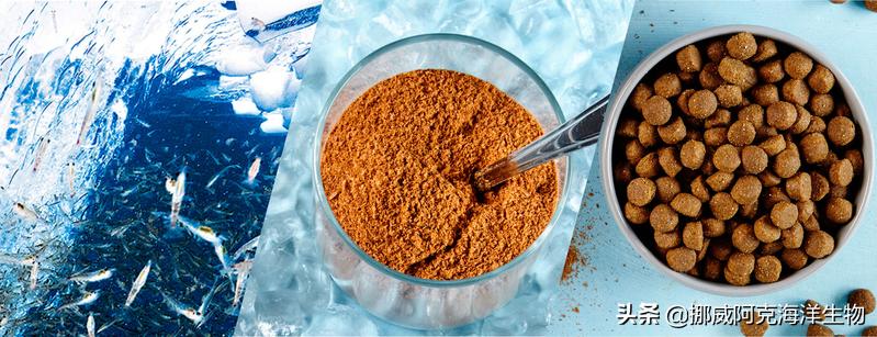 挪威阿克海洋生物旗下宠物食品原料QRILLPet获美国FDA批准