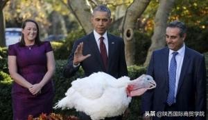 感恩节感谢有你美文,感恩节感谢有你