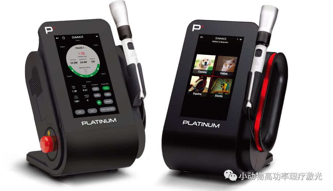 褥疮护理个案,褥疮个案护理