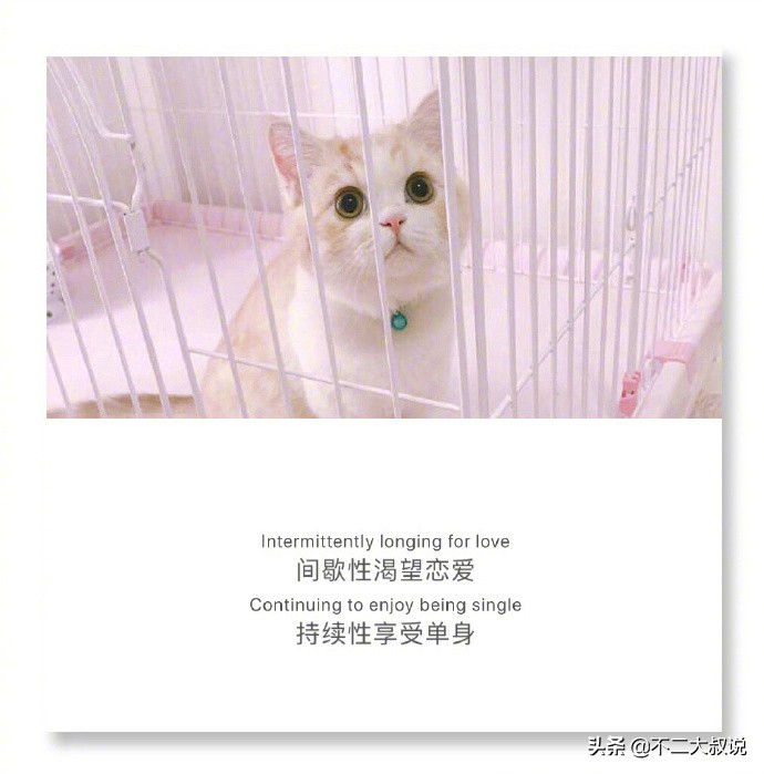 英汉互译的深情句子,中英文唯美爱情句子