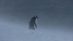 大过年的，被这些小萌萌给笑掉了头