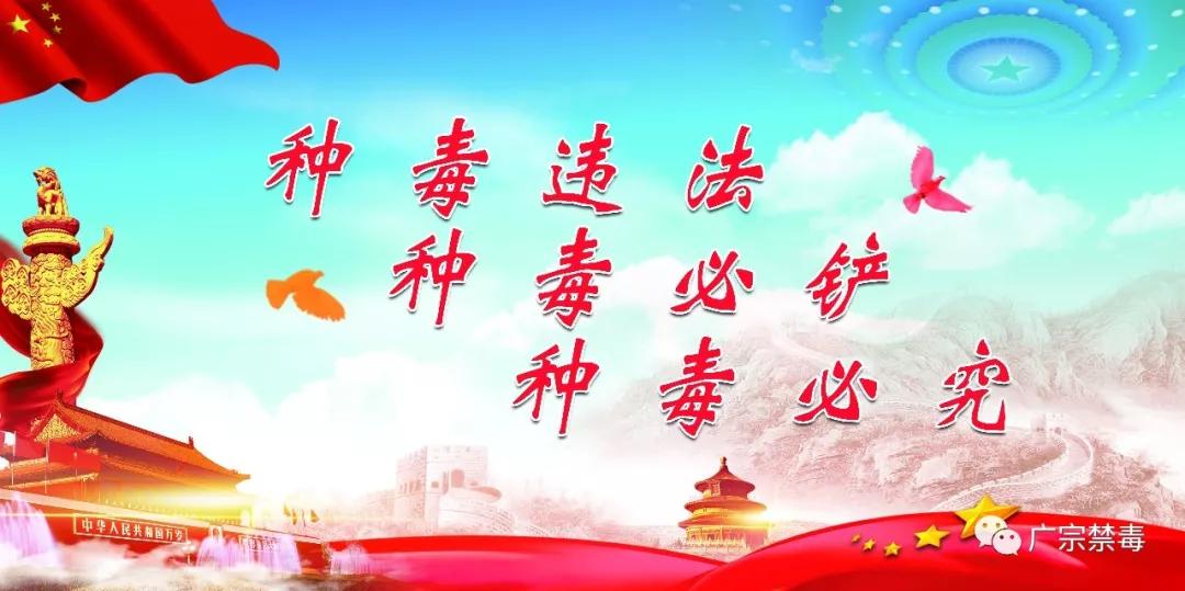 图啥呢？一男子做*品毒**代购不获利，照样受严惩！