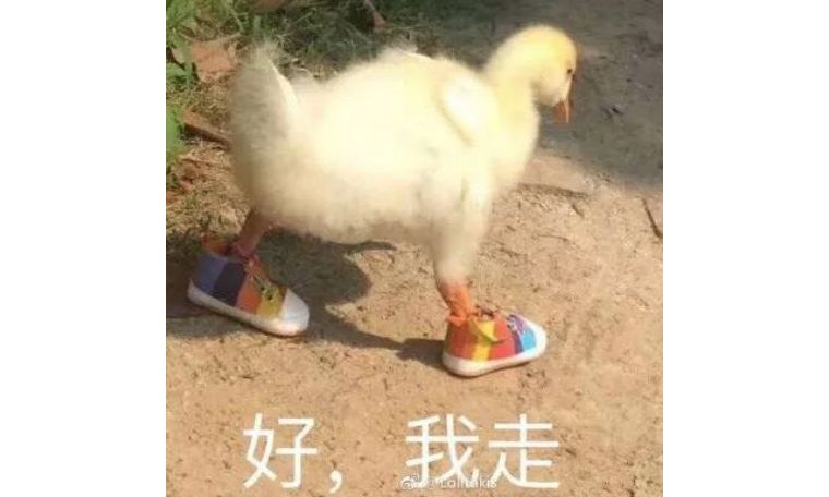 波西米亚狂想曲为什么叫queen,波西米亚狂想曲queen百科