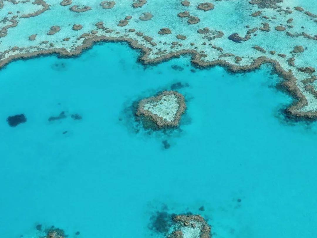 去奇妙的澳大利亚看一看....