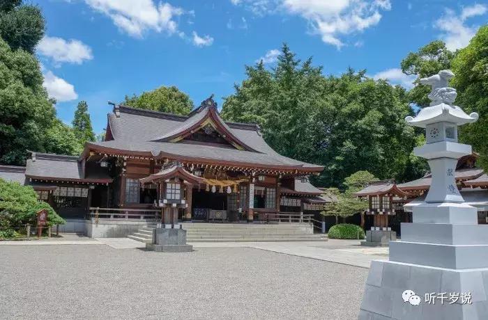 日本东京熊本熊,日本熊本游