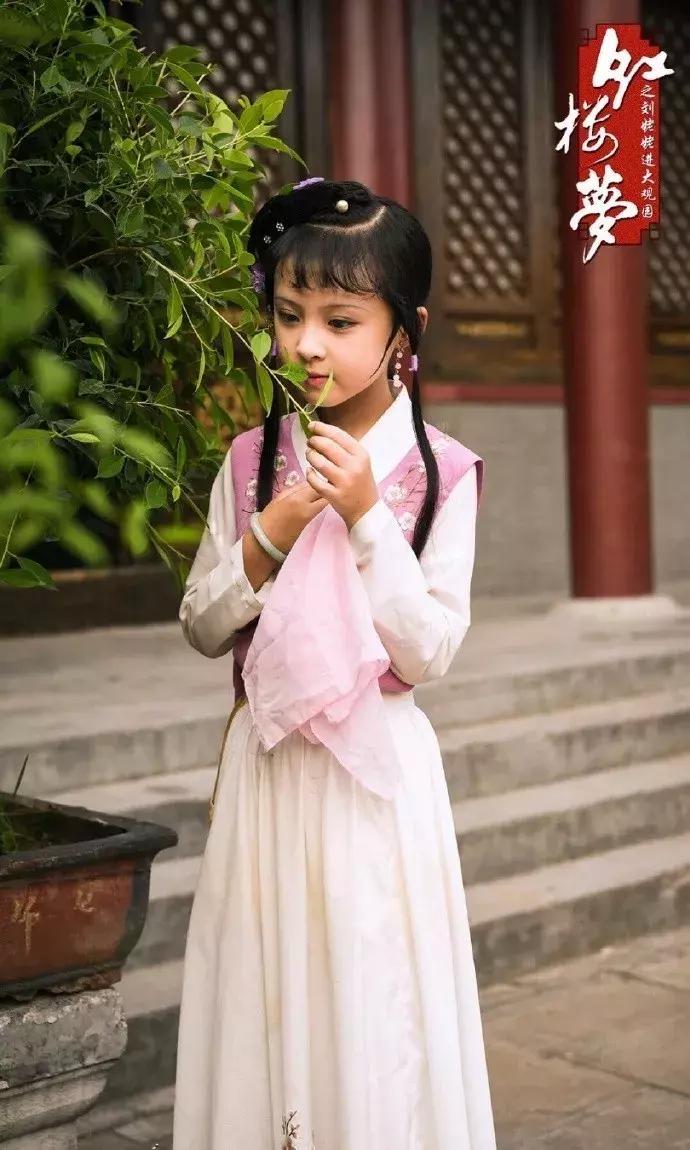 红楼梦生僻字注解大全,红楼梦十二首判词中的生僻字