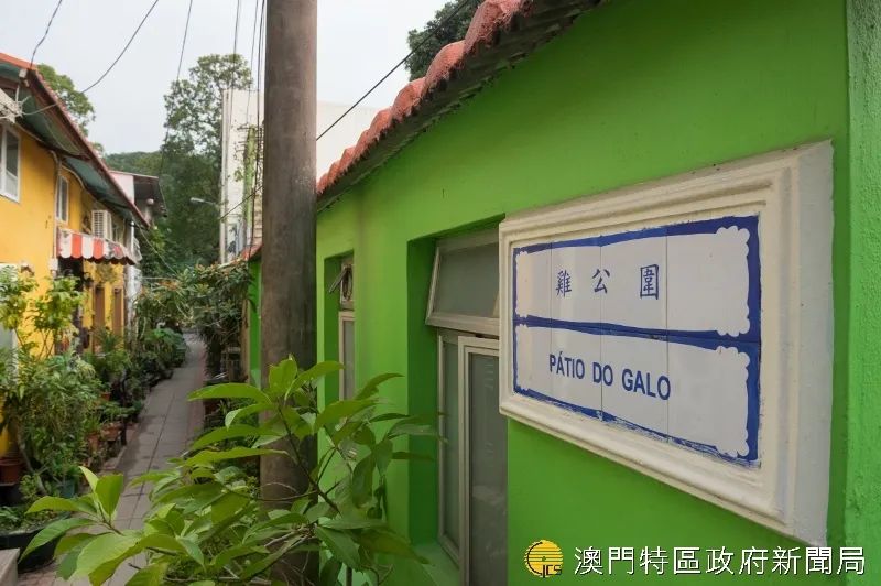 来澳门必游的景点,来澳门必逛的网红打卡景区