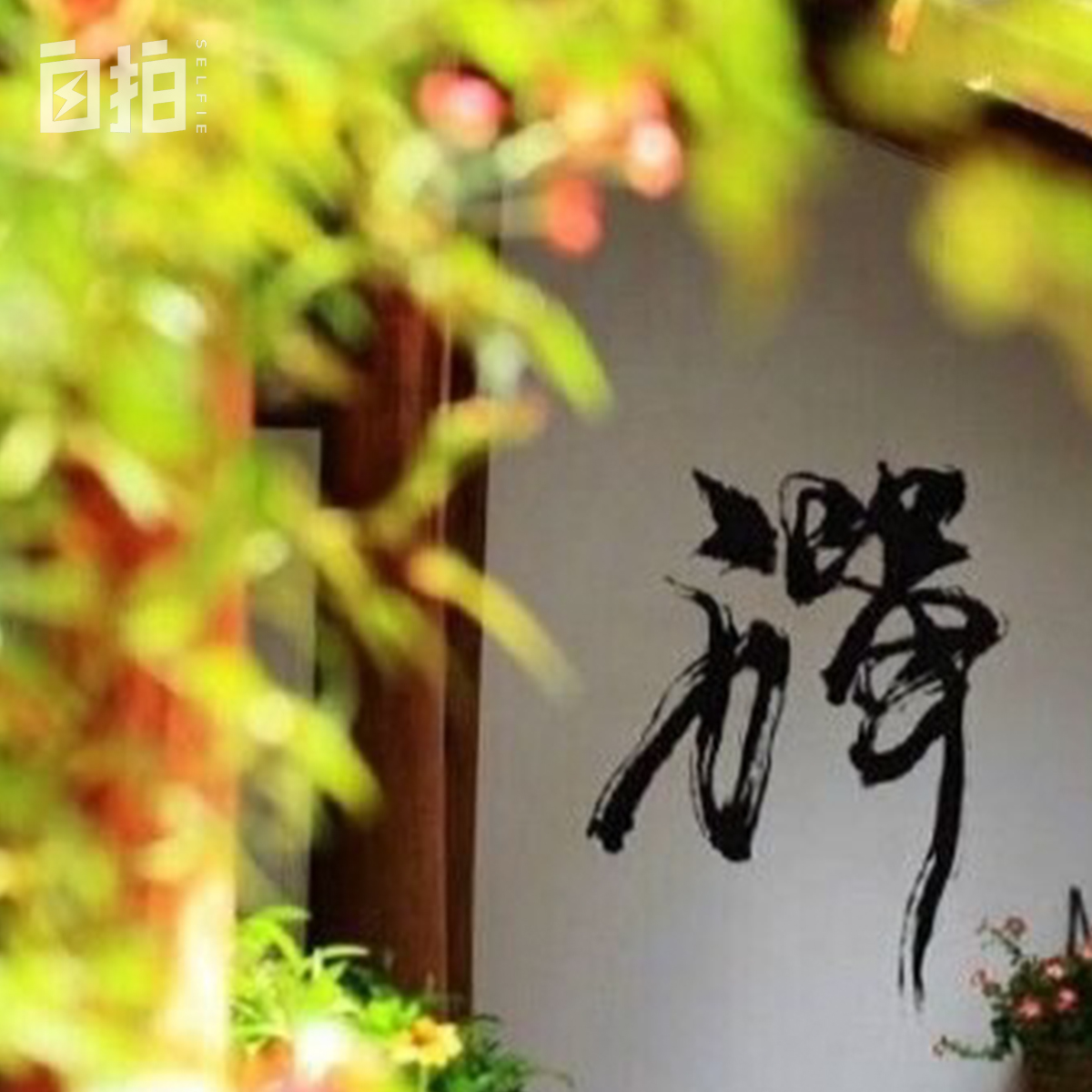 我，部队大院长大，17岁成省队运动员，参加过奥运会，做过主持人