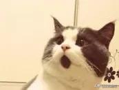 腮帮子疼警惕四种病,成人腮帮子突然疼痛