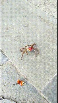 把中间的门店租下来取什么名字好,租下门面不知道取什么名字