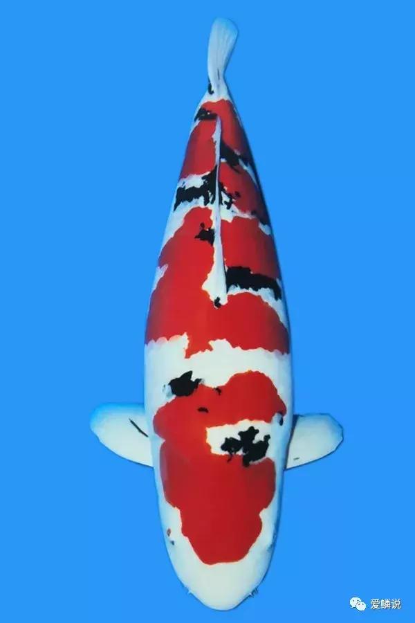 水体PH异常如何正确处理？很多人忽视了这点