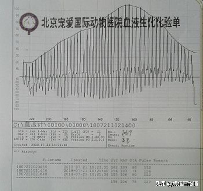 狗狗突然开始乱尿乱拉怎么纠正,狗狗最近突然乱尿