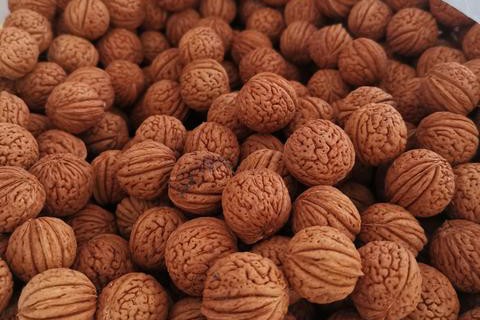 脑纹桃核手串的正确盘法,纹路跟脑子一样的桃核手串