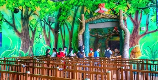 苏州森林世界乐园和华纳影城,苏州乐园森林世界漂流项目