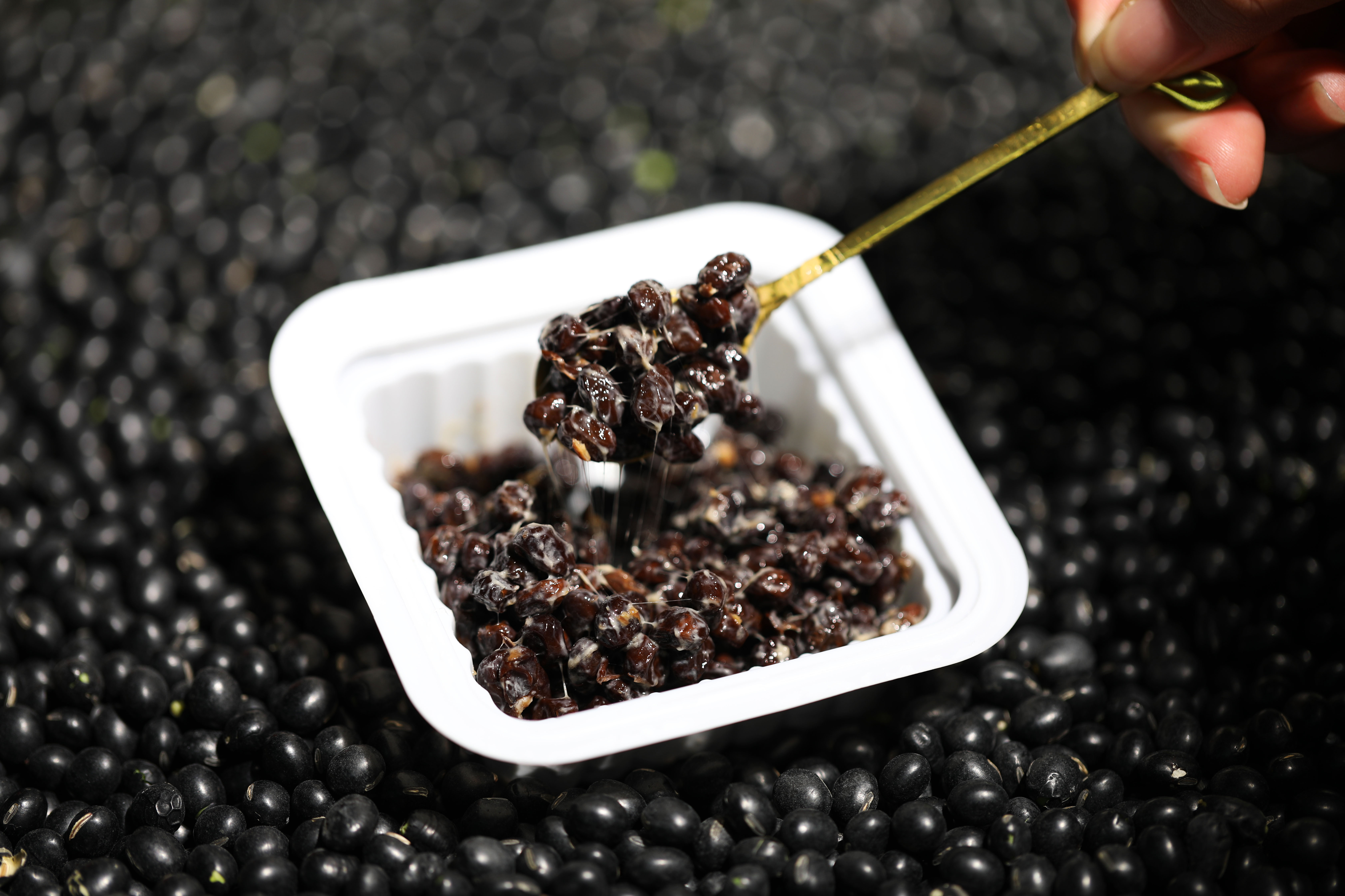 日本人吃的纳豆,日本人餐桌上的豆腐