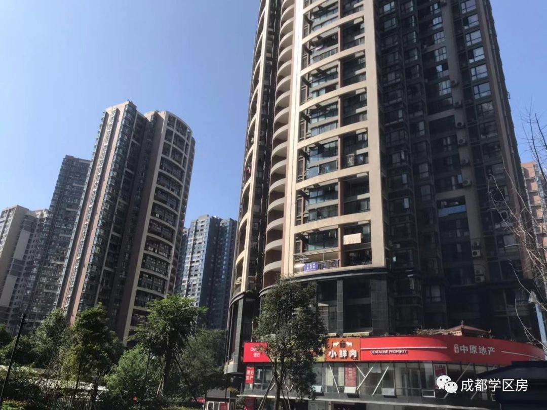 天府新区第五小学排名,天府新区a区学区房