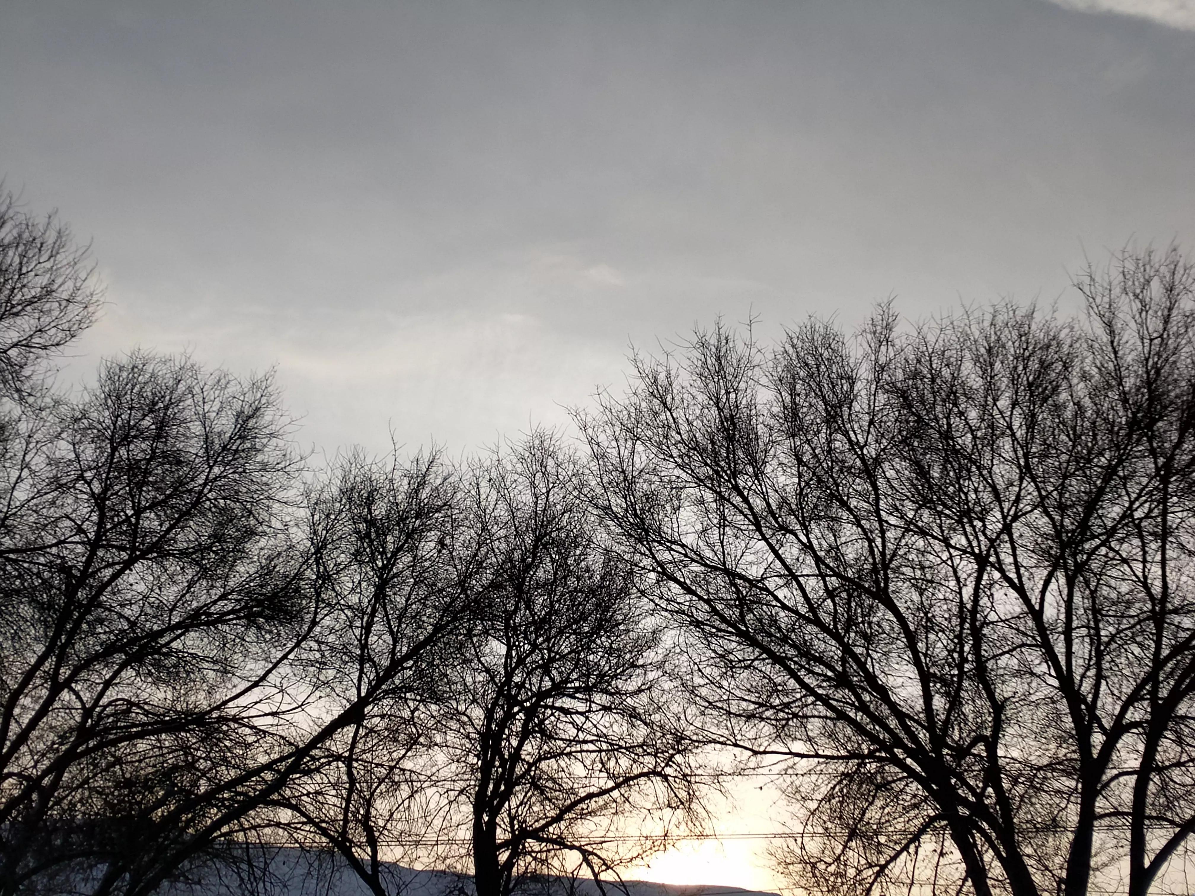 数九寒天顺口溜,俗语中怎样说数九寒天的