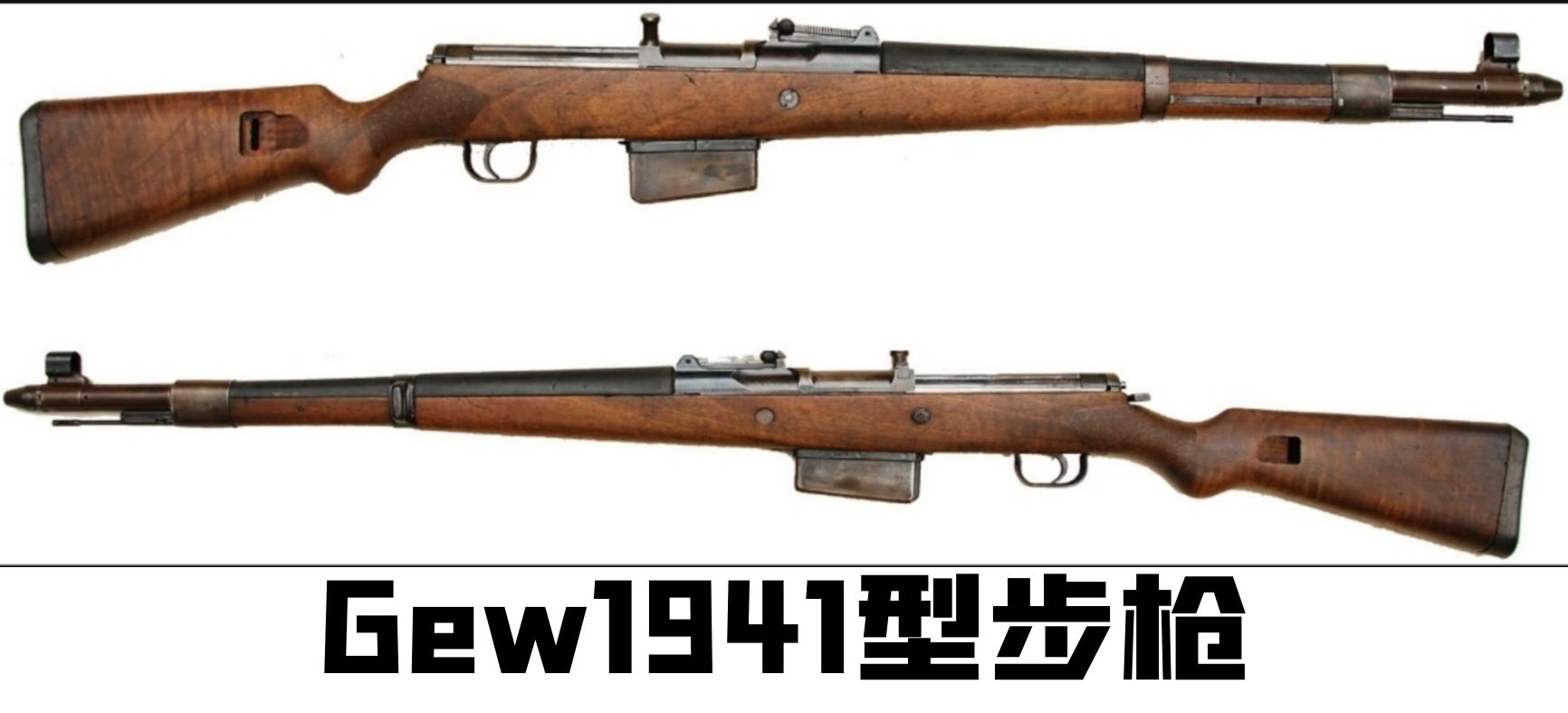 英国枪史图册全篇,德国枪图片