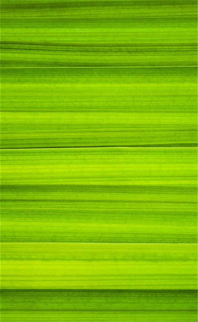 缓解眼睛疲劳动态图壁纸,好看的手机壁纸护眼高清图文