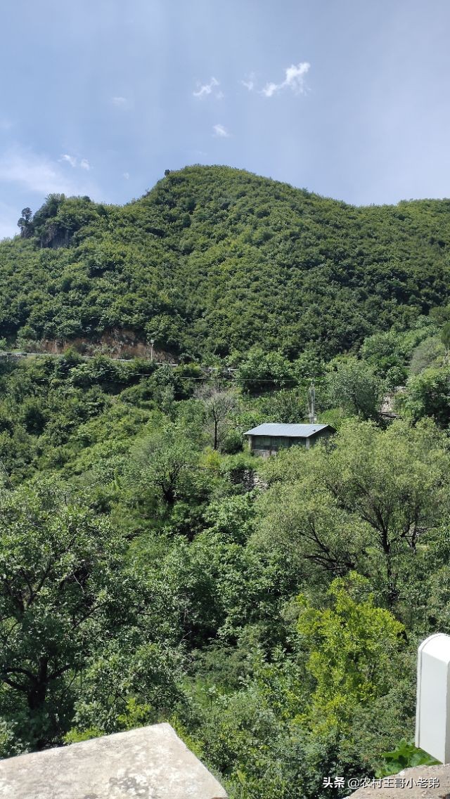 我和悬崖村的故事,我和北京小说