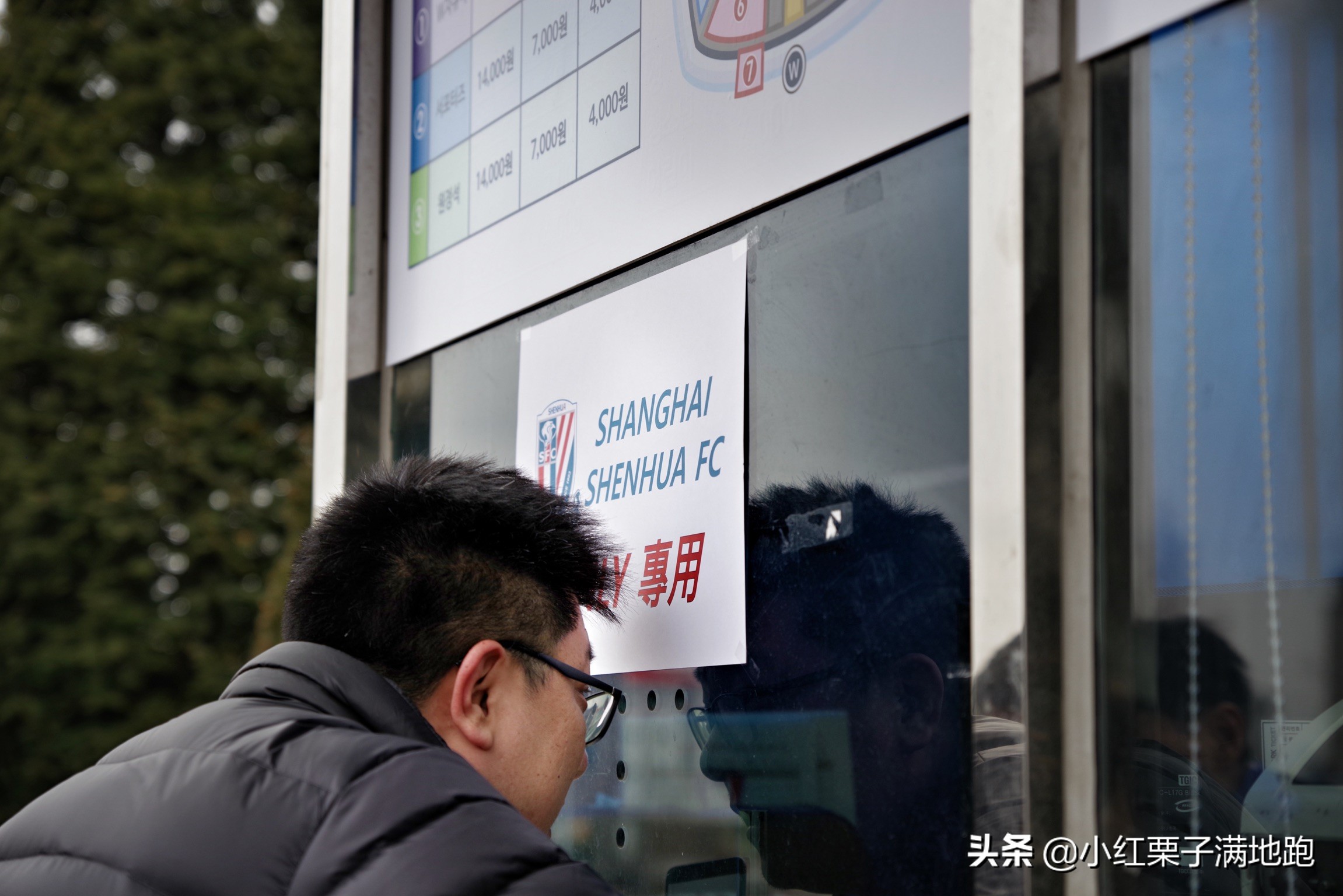 疫散花开张家界,疫散花开欢迎归来